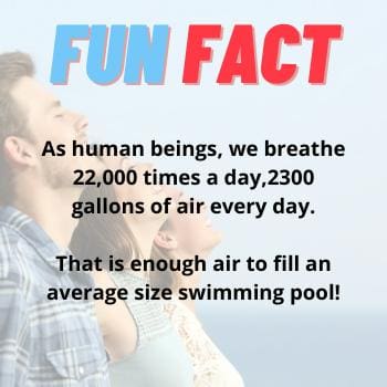 Text in image: "FUN FACT: As human beings, we breathe 22,000 times a day, 2300 gallons of air every day. That is enough air to fill an average size swimming pool!" Background: Two people looking up.
New text with product:
"FUN FACT: As human beings, we breathe 22,000 times a day, 2300 gallons of air every day. That is enough air to fill an average size swimming pool! Ensure the quality of your indoor air with EZ Breathe (Taller Height), Basement Model A-400 – Standard chute – for walls up to 10′."
Background remains the same with two people looking up.